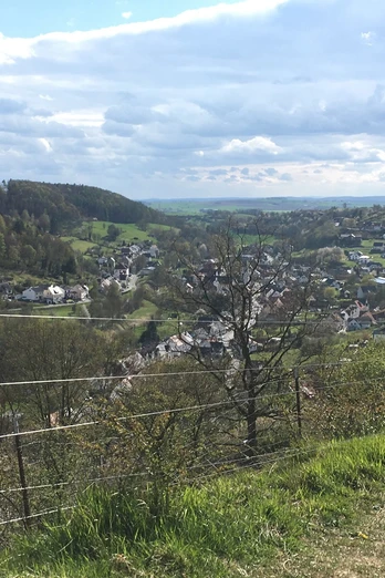 Blick über Dahlhausen