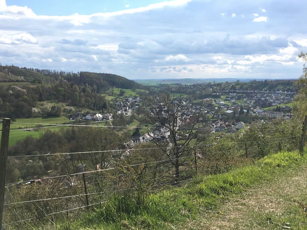 Blick über Dahlhausen Blick über Dahlhausen