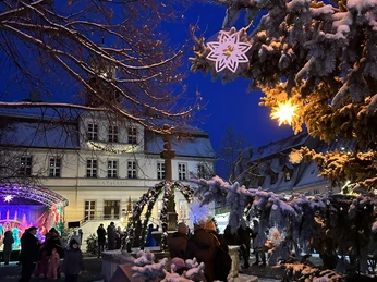 Weihnachtsmarkt Bad Düben - Weihnachten in der Region Leipzig Bunte Lichter tauchen den Weihnachtsmarkt vor dem Rathaus in ein zauberhaftes Licht, während ein festlich geschmückter Weihnachtsbaum mit funkelnden Sternen und Schneedecke die Szenerie erhellt.