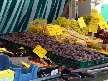 Wochenmarkt Aurich Obst und Gemüse Wochenmarkt Aurich Obst und GemüseAurich weekly fruit and vegetable marketAurichs ugentlige frugt- og grøntsagsmarkedAurich wekelijkse groenten- en fruitmarkt