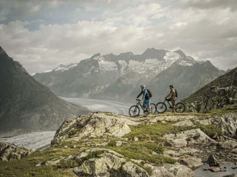 Biken mit Blick auf den Aletschgletscher Bike Genuss Tour Aletsch Arena mit Bikern oberhalb des Grossen Aletschgletschers auf einer genussvollen Panoramastrecke im WallisBike pleasure tour Aletsch Arena with bikers above the Great Aletsch Glacier on an enjoyable panoramic route in ValaisBike Genuss Tour Aletsch Arena avec des vététistes au-dessus du grand glacier d'Aletsch sur un parcours panoramique savoureux en Valais