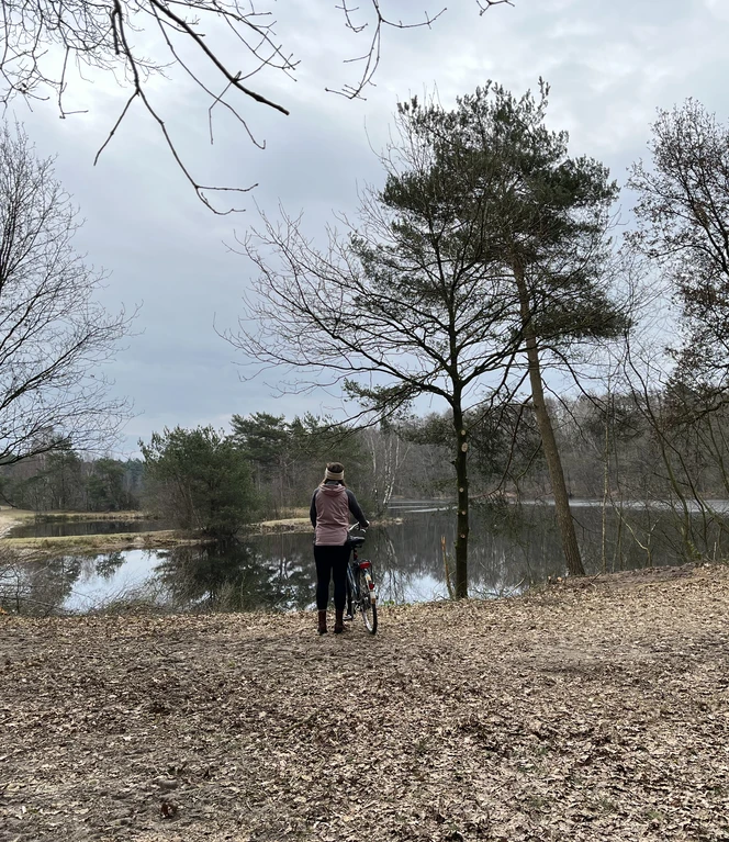 Am Tunxdorfer Waldsee.jpeg