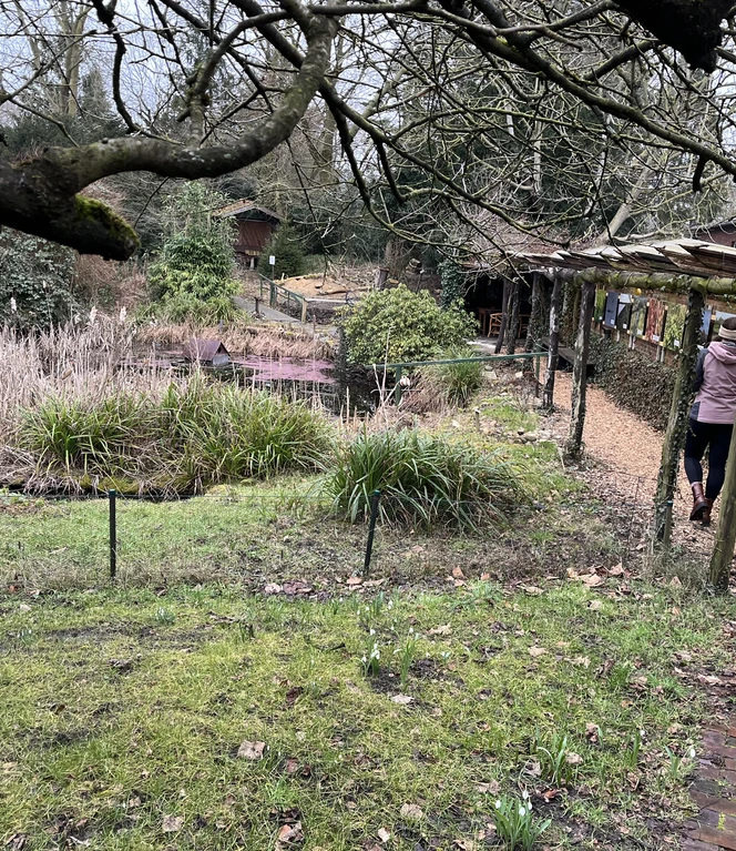 Naschkes Garten ist ein Geheimtipp und ein Träumchen, wenn alles blüht.jpeg