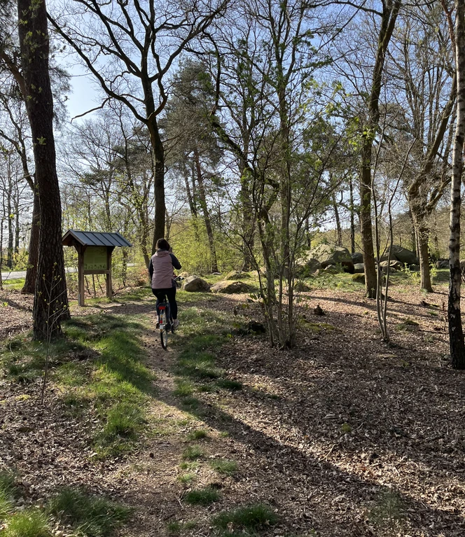 Ein Stopp an den Mehringer Steinen.jpeg