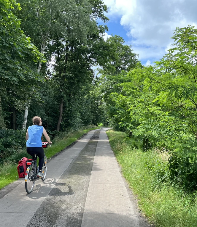 Die Sonne weckt Urlaubsgefühle.jpeg