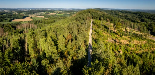 Oerlinghausen-Toensberg-Teutoburger-Wald-Tourismus-D-Ketz-236-CC-BY-SA.jpg
