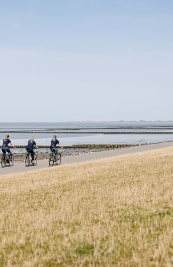 Hauke-Haien-Route_Ockholm_Deich