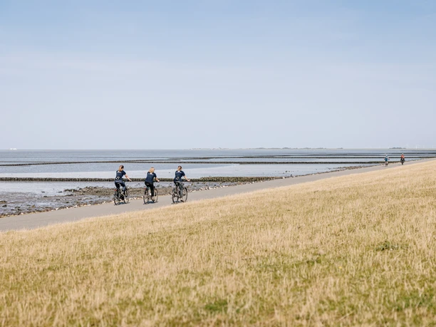 Hauke-Haien-Route_Ockholm_Deich