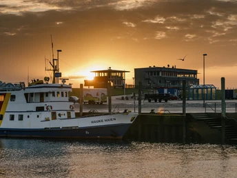 Nordfriesland_Schlüttsiel Hafen