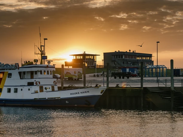 Nordfriesland_Schlüttsiel Hafen