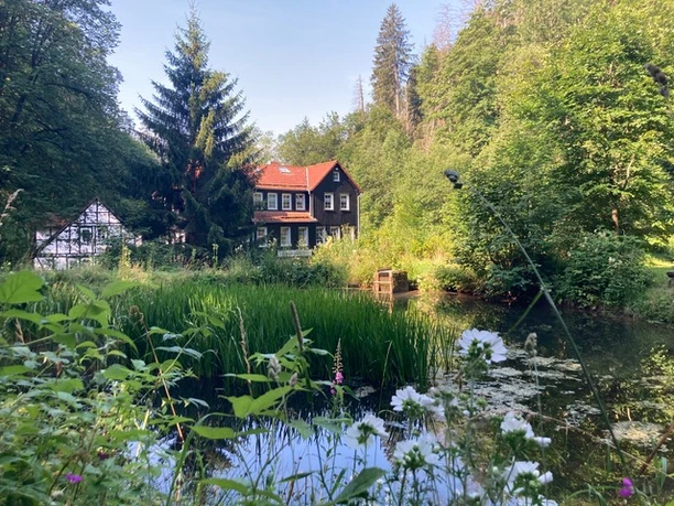 Wolfsbachmühle_Sommer.jpeg