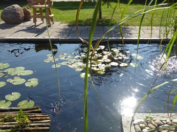 Gartendetails Teich.JPG