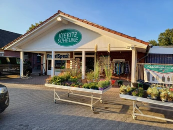 Cadenberge_Kiebitzscheune