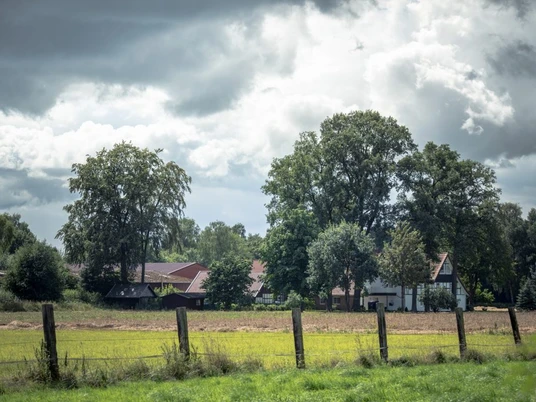 Ebbesloh_Guethenke Bauernhaus hinter Bäumen