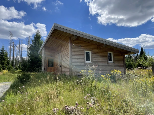 Ferienhaus Oderbrück im Sommer.jpg