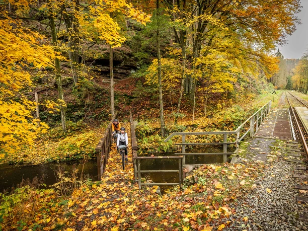 Cyklista přejíždí malý most vedle železniční trati v podzimním lese.