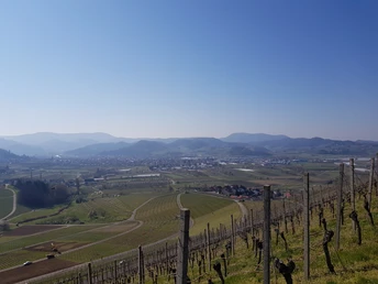 Aussicht in Richtung Fatima Kapelle