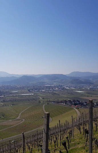 Aussicht in Richtung Fatima Kapelle