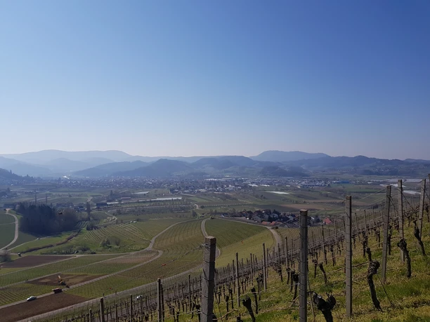 Aussicht in Richtung Fatima Kapelle