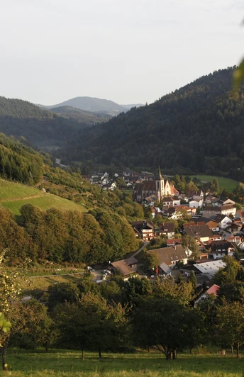 Ortsansicht Lautenbach