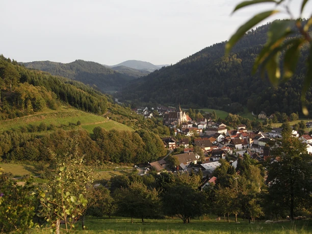 Ortsansicht Lautenbach