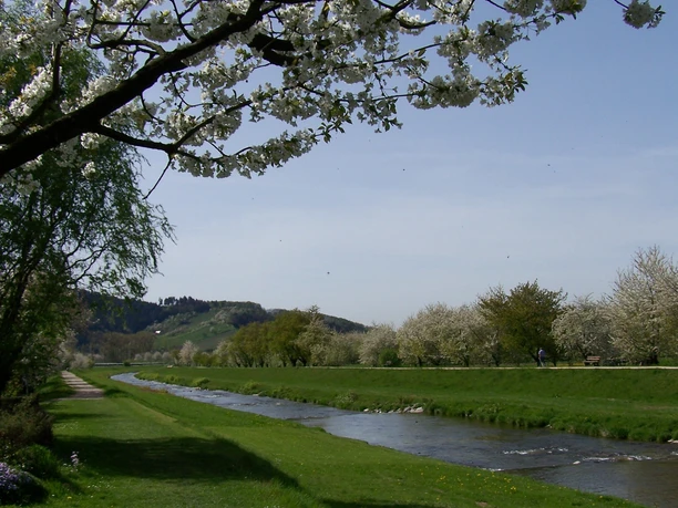 Renchdamm zwischen Oberkirch und Lautenbach
