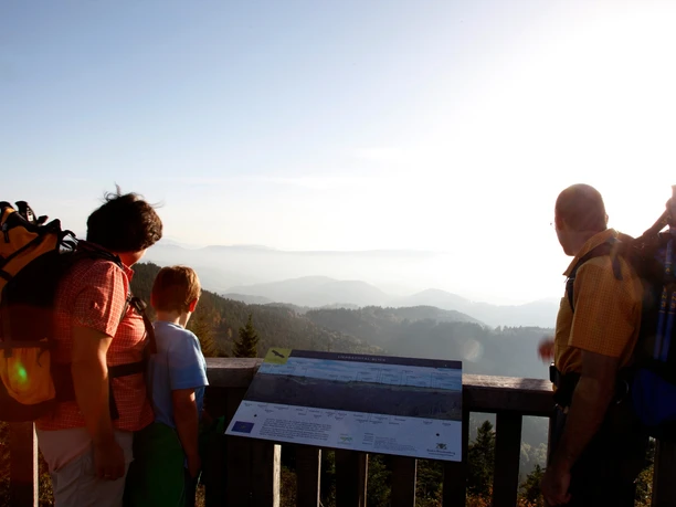 Am Tausendmeterweg - Aussichtsplattform am Schliffkopf