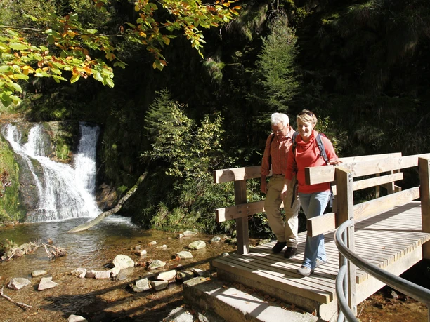 Wasserfälle Allerheiligen