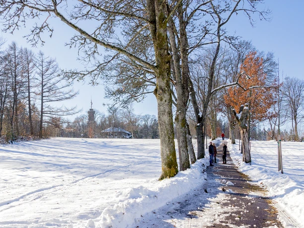 Winterwandern auf dem Freudenstädter Kienberg