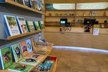 Innenansicht des Nationalpark-Besucherzentrums mit Büchern und Souvenirs auf Regalen, Rezeption im Hintergrund.