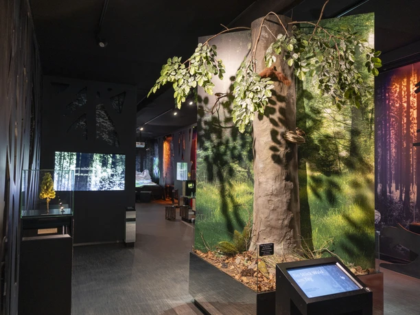 HarzWaldHaus Ausstellung HarzWaldHaus Ausstellung