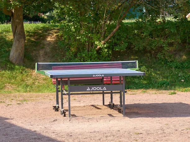 Table tennis table in the park on sandy ground, surrounded by grass and trees.