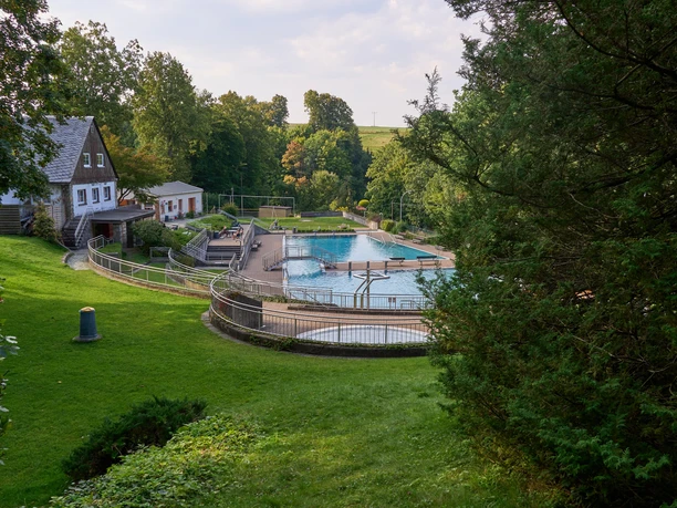 Outdoor pool surrounded by green trees and meadow, next to a house.