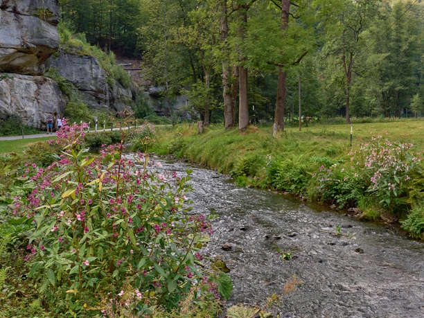 Polenztal Polenz fließt durch grüne Landschaft mit Felsen und Bäumen.