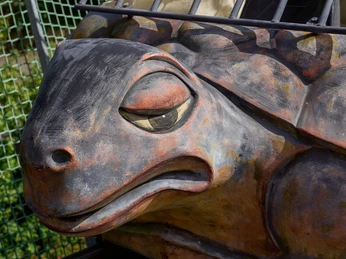 Elbefreizeitland Große Skulptur eines Schildkrötenkopfes mit detaillierter Textur und halb geschlossenen Augen.