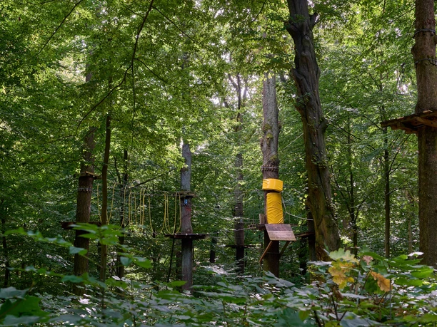 Kletterwald Königstein Kletterpark mit Seilrutschen und Plattformen zwischen Bäumen in einem Wald.