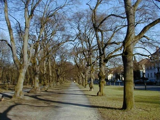 Prinzenpark Georg-Westermann-Allee.jpg