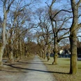 Prinzenpark Georg-Westermann-Allee.jpg