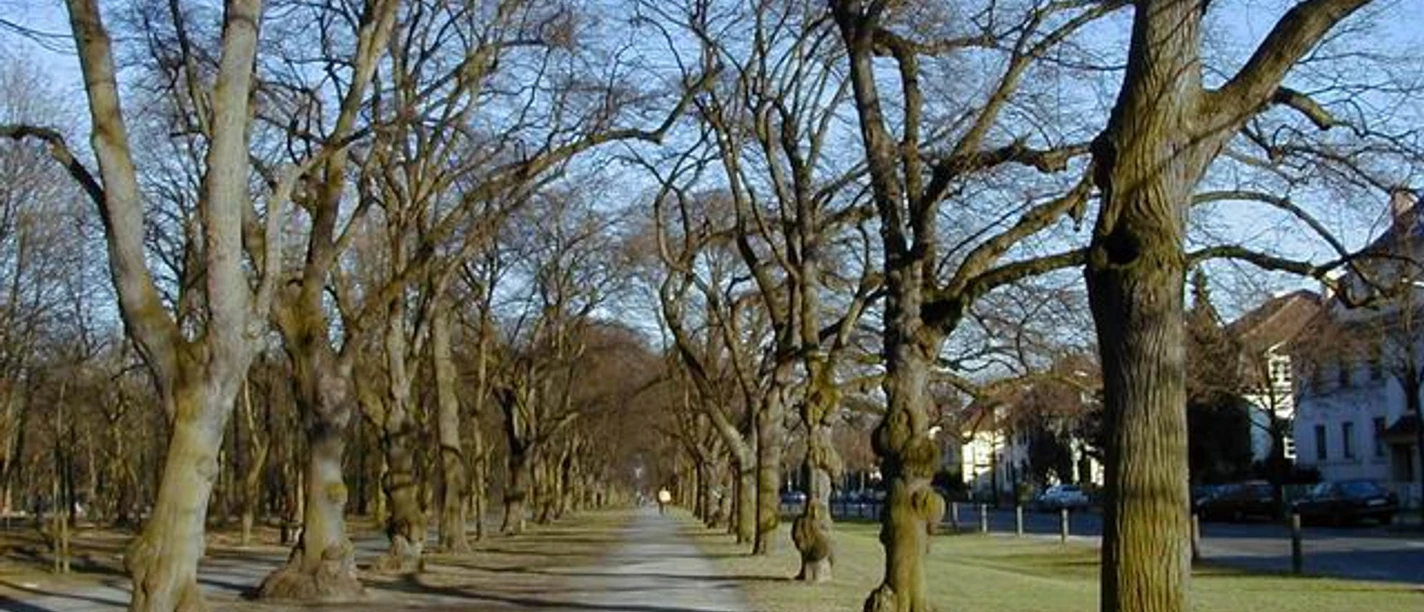 Prinzenpark Georg-Westermann-Allee.jpg