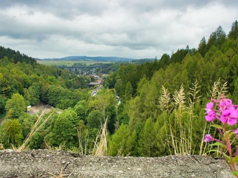 Blick nach Markersbach zum Viadukt