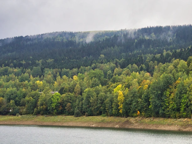 mystische Stimmung im herbstlichen Wald