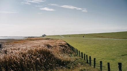 Nordfriesland_Beltringharder Koog Landschaft
