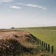 Nordfriesland_Beltringharder Koog Landschaft