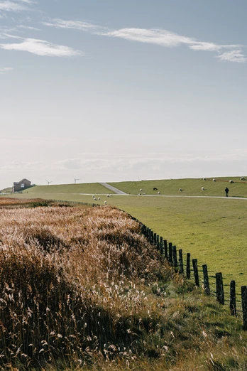 Nordfriesland_Beltringharder Koog Landschaft