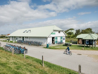 Nordfriesland_Amsinck-Haus Amsinck-Haus