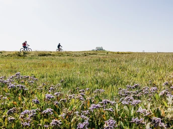 Nordfriesland_Hamburger Hallig Fahrrad fahren
