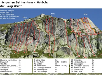 Bettmerhorn-Hohbalm "Lengi Want"