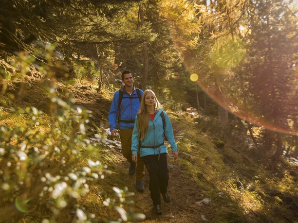 Randonnée d'automne dans l'Aletsch Arena Soleil d'automne Aletsch Arena avec un couple sur un sentier de randonnée à travers les forêts de mélèzes dorés sous la lumière chaude du soleil