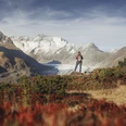 Randonnée d'automne avec vue sur le glacier d'Aletsch Herbstsonne Aletsch Arena mit Wanderin auf Aussichtspunkt über dem Aletschgletscher im goldenen HerbstlichtAutumn sun in the Aletsch Arena with a hiker on a viewpoint above the Aletsch Glacier in the golden autumn lightSoleil d'automne Aletsch Arena avec randonneuse sur le point de vue au-dessus du glacier d'Aletsch dans la lumière dorée de l'automne