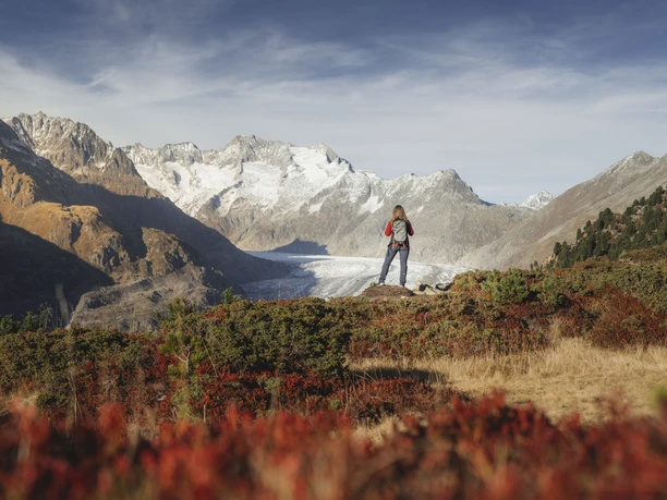 Randonnée d'automne avec vue sur le glacier d'Aletsch Soleil d'automne Aletsch Arena avec randonneuse sur le point de vue au-dessus du glacier d'Aletsch dans la lumière dorée de l'automne